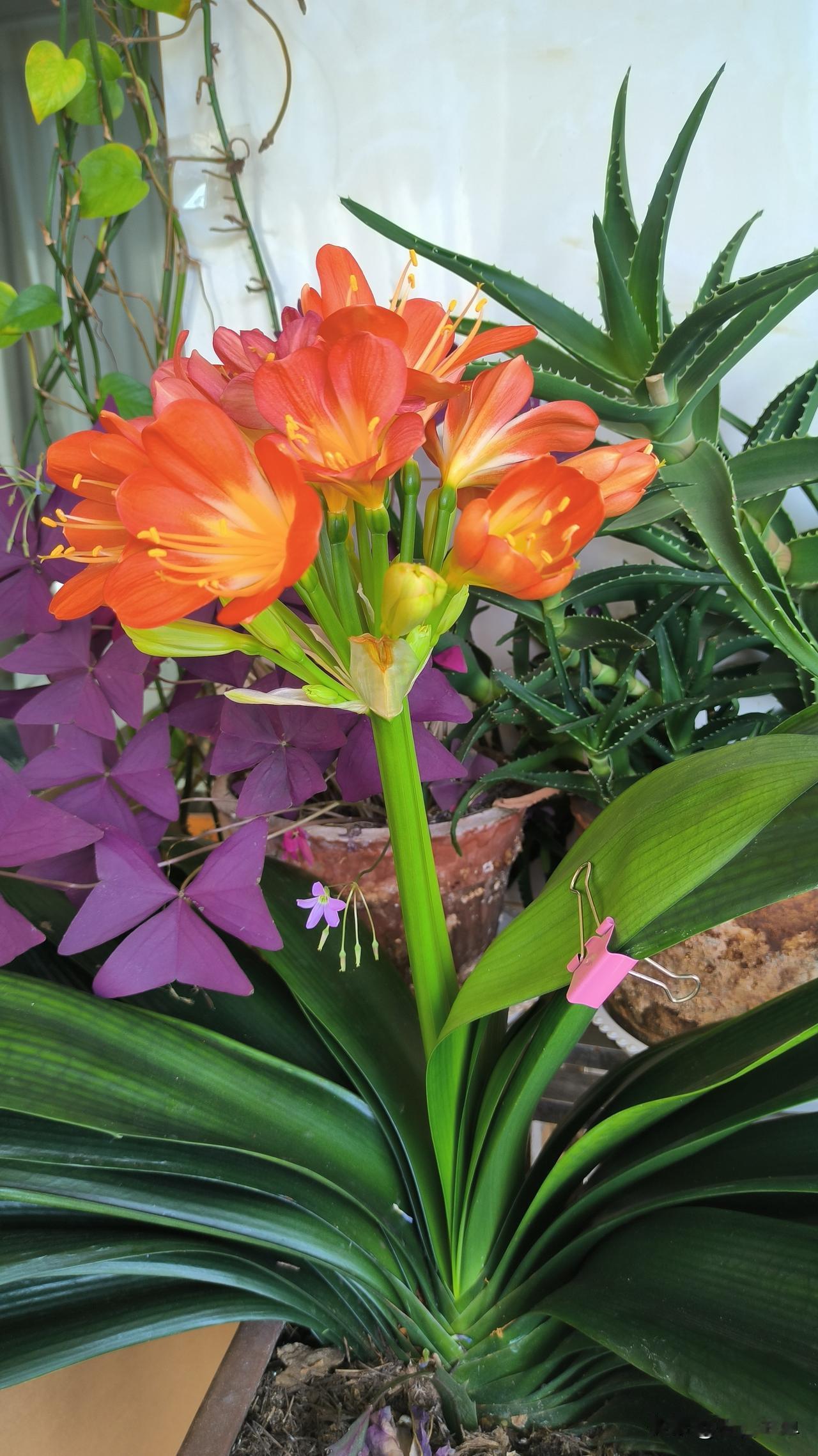 如何拥有平淡却幸福的家庭?
拥有平淡却幸福的家庭，核心在于把日常小事做透，用细碎