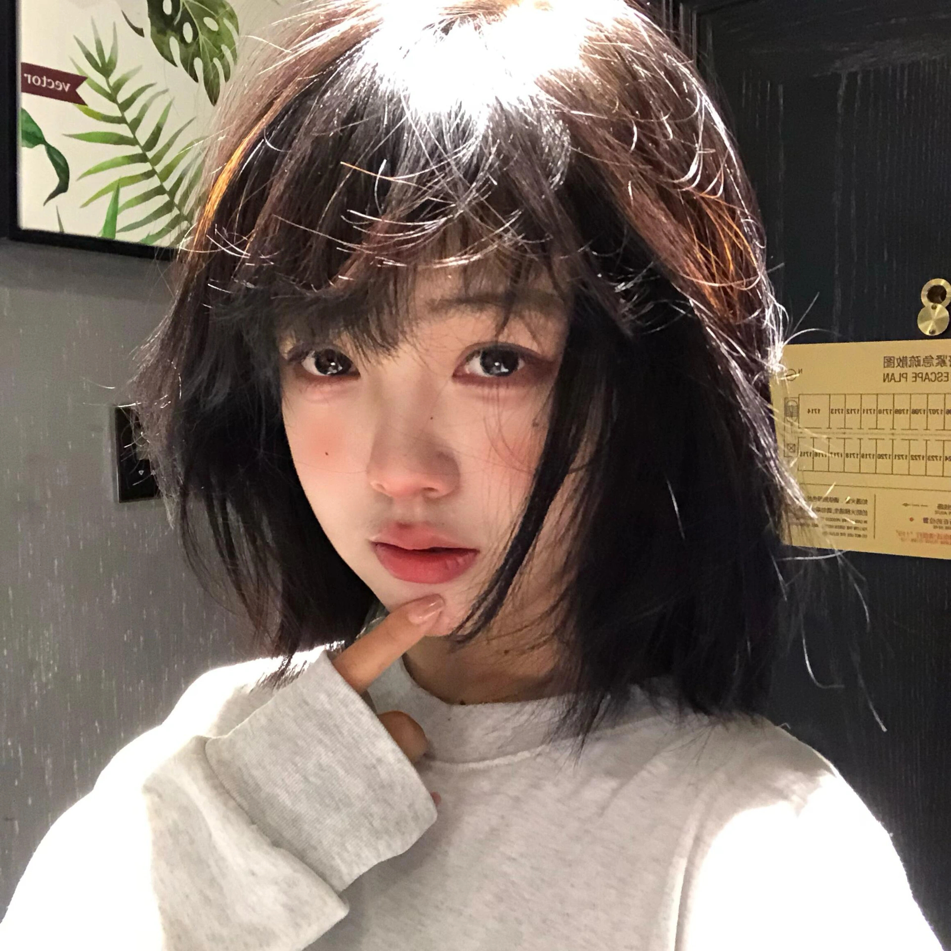 或许某一天你会为爱改变 但与我无关 ​​​