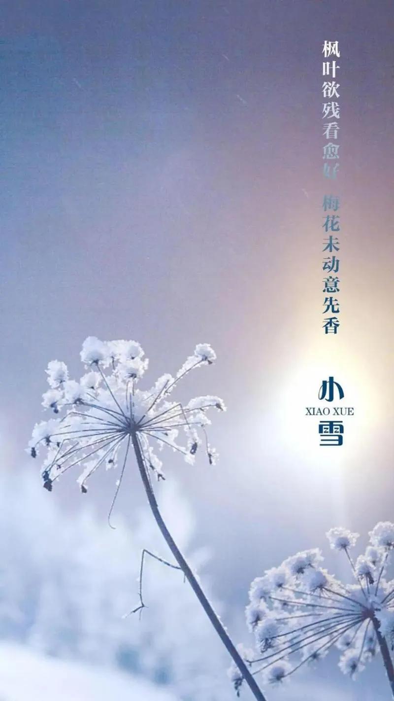 今天（11月22日）小雪，这是个很有诗意的名字，让我们对冬日雪景充满期待，充满向