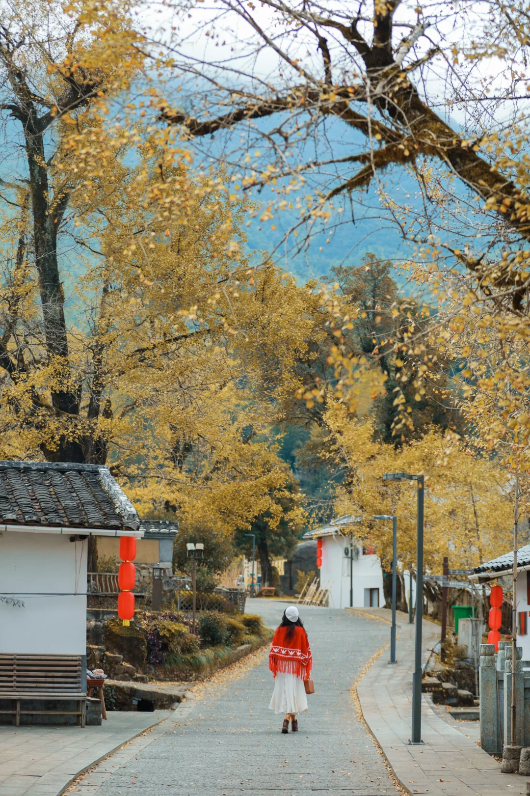 福建人少又好拍的银杏古村在这里！