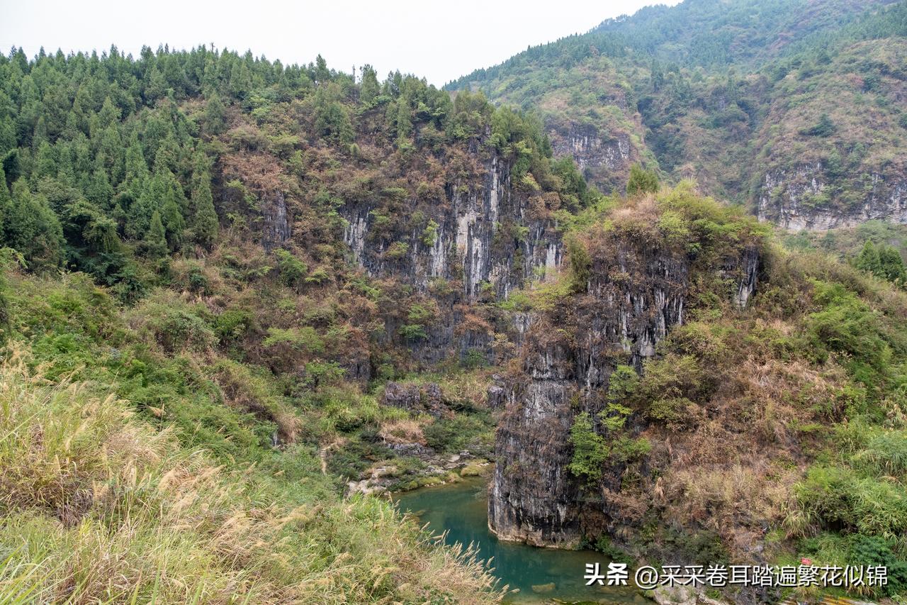 湘西花垣古苗河大峡谷秋天来得早

古苗河大峡谷是湘西花垣县最值得打卡的景点之一。