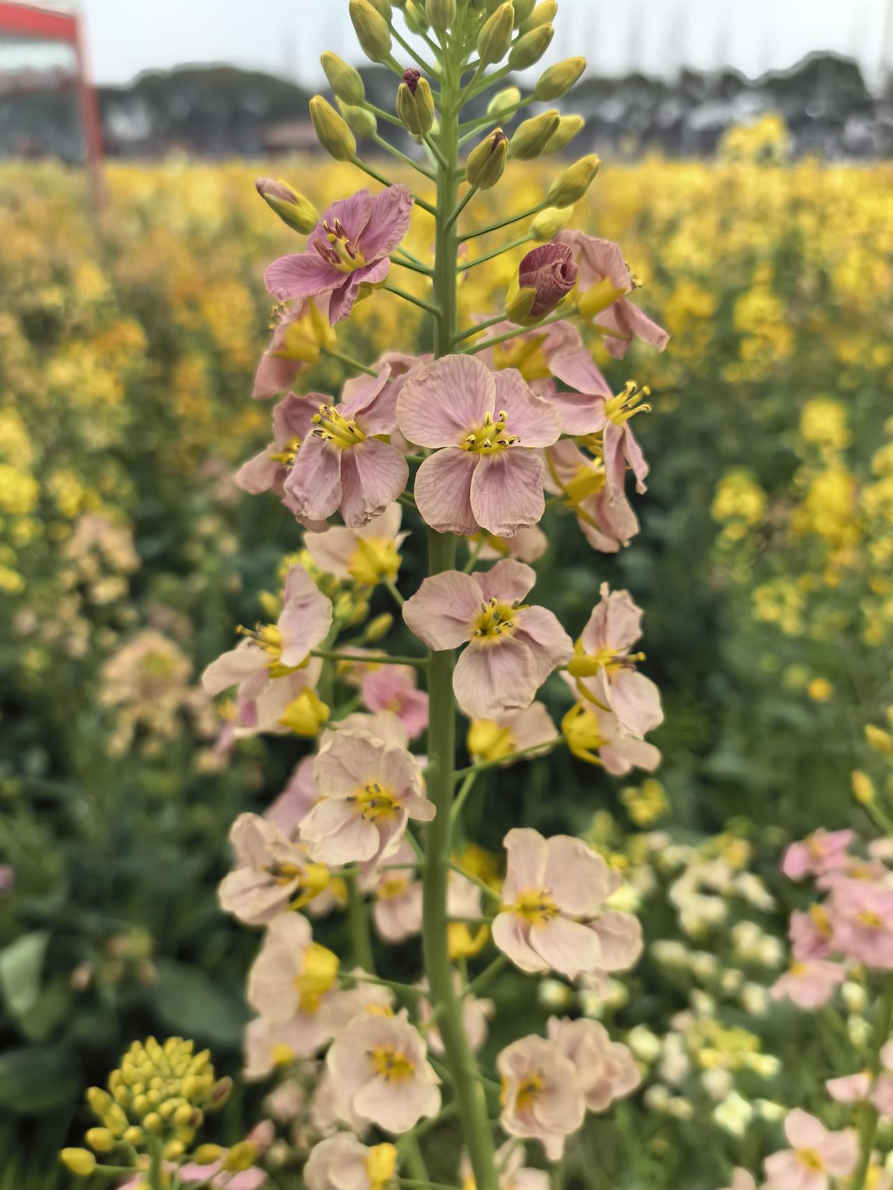 我见过有人穷但有志气，靠双手打拼，哪怕生活艰苦，也不怨天尤人，努力改变现状。可也