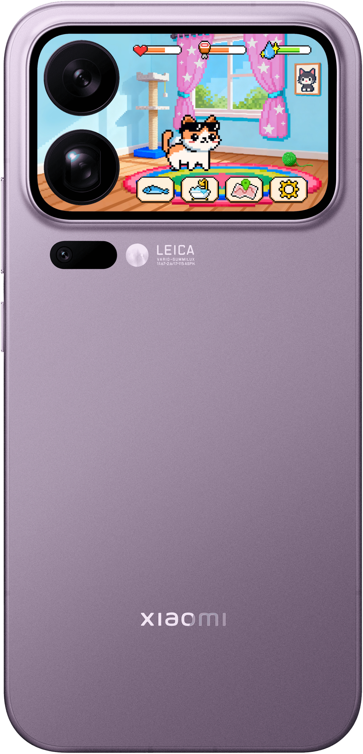 养了好几天的猫了