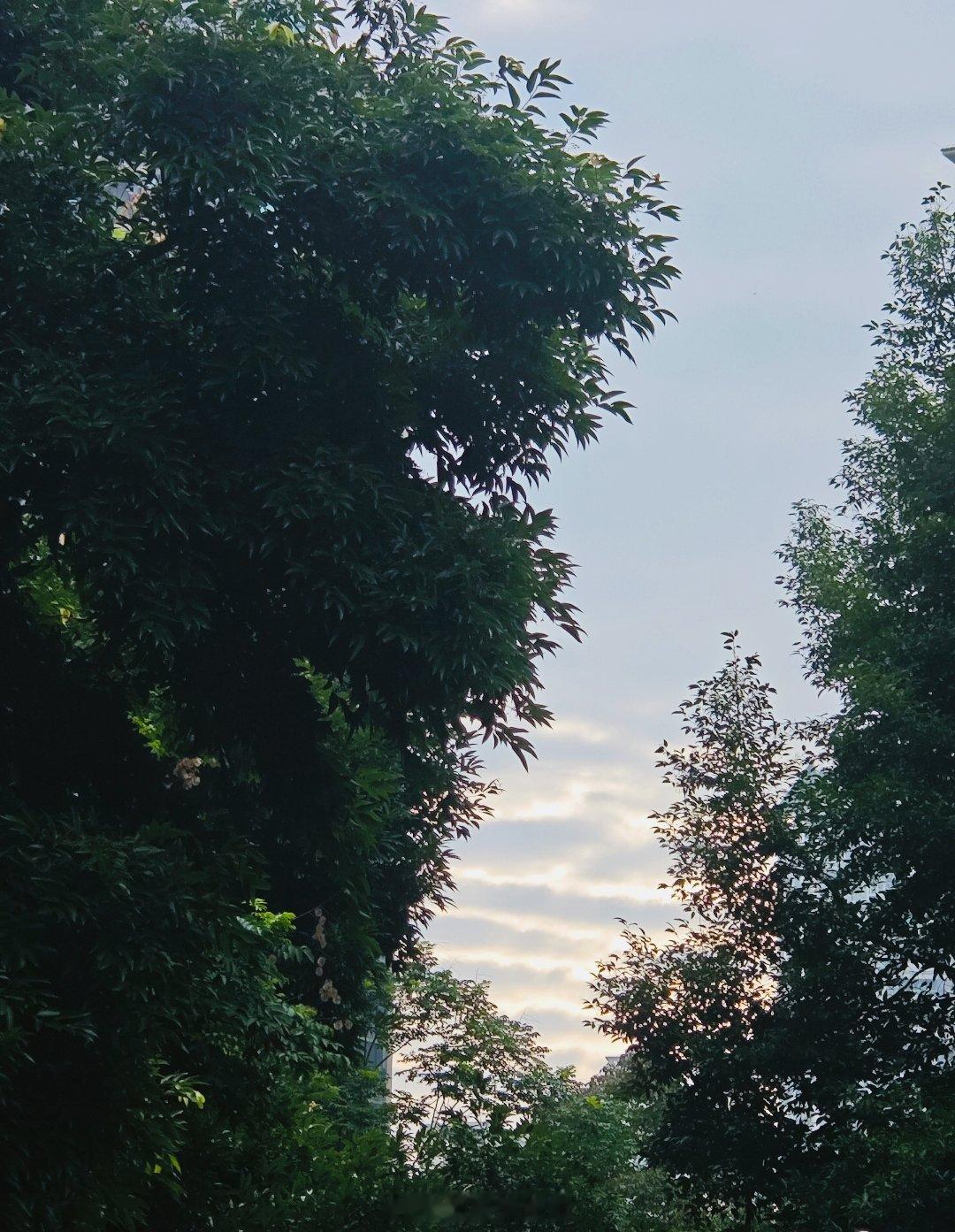 早早早，今天天气看着很不错啊 