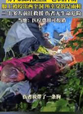 “不幸中的万幸！”9月23日重庆一男子带着狗子上山采菌时，突然听到狗子狂叫，男子