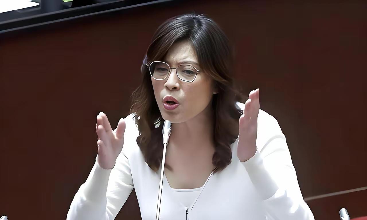 近期，民进党当局接连以搜查、抓捕等手段打压在野党，嘉义市国民党党部被查、十余人遭