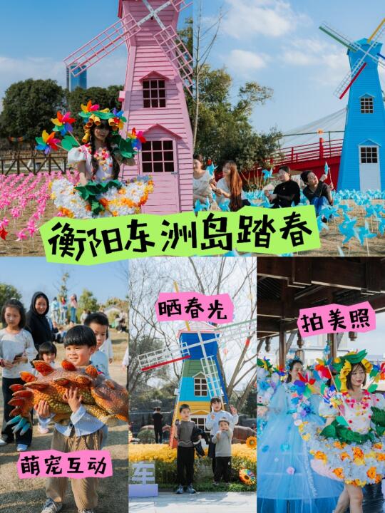 在衡阳‖送你一片粉色花海🌸