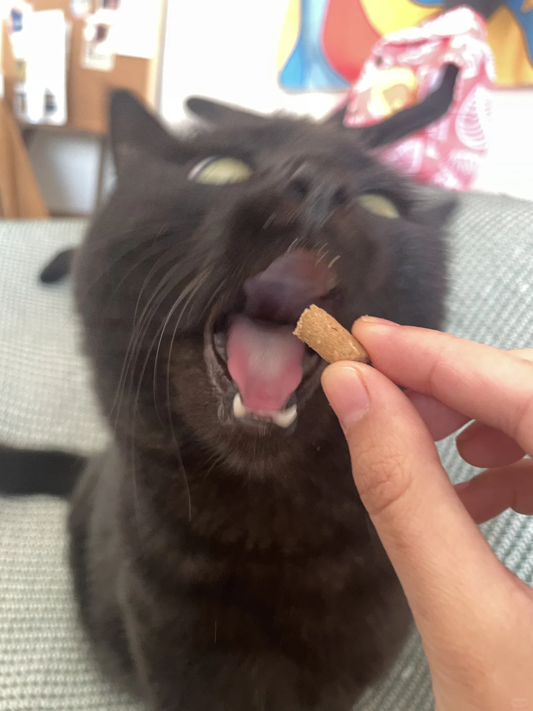 请直接炫我嘴里，谢谢谢谢