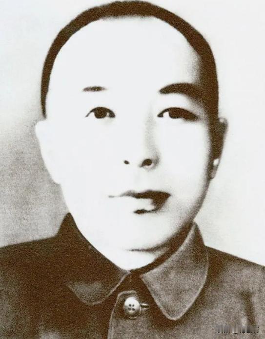 [玫瑰]1941年，抗联总指挥李兆麟把刚出生的儿子，扔到了冰天雪地的山里，妻子想