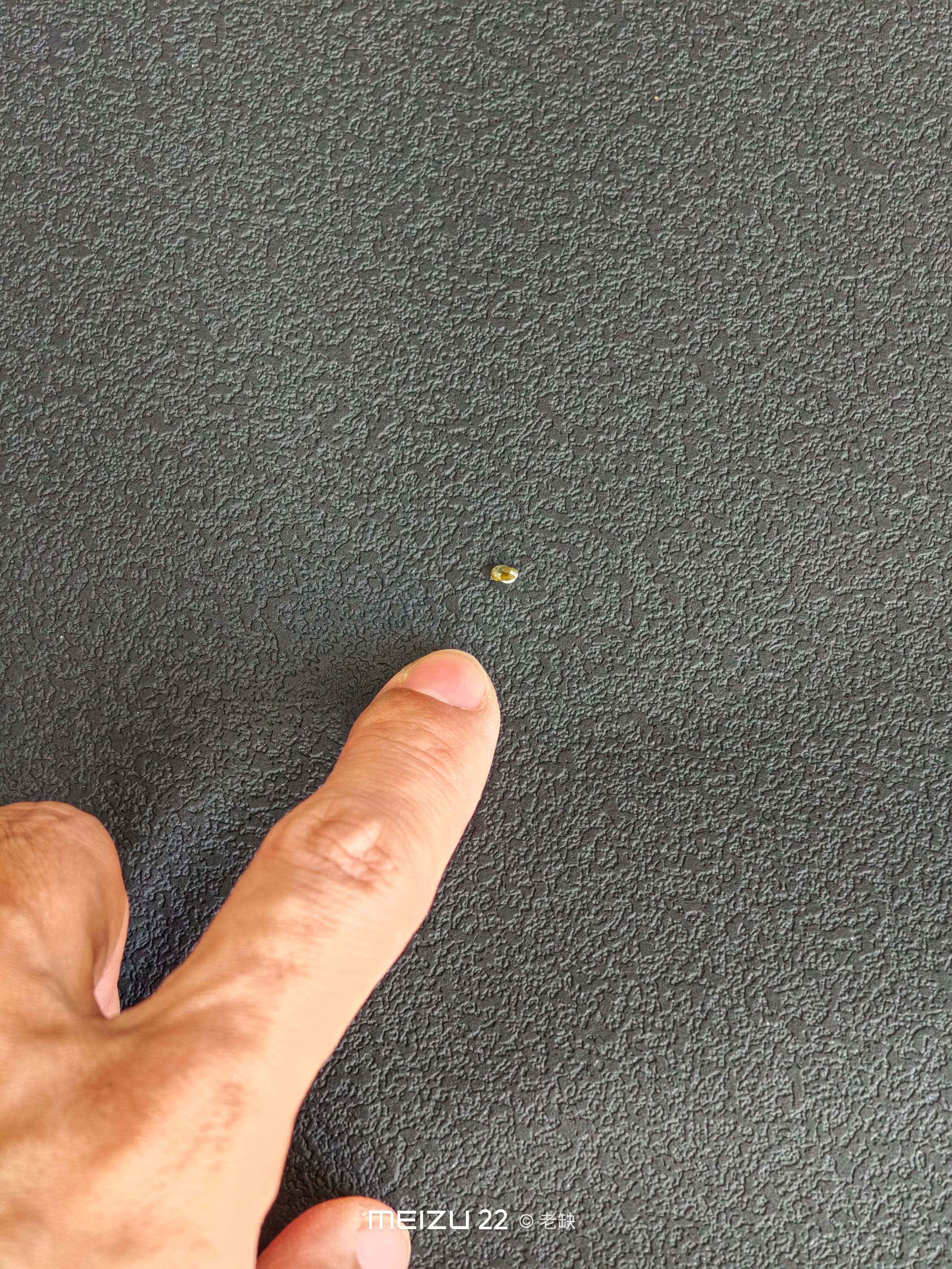 犯罪嫌疑鸟在证据面前回避闪躲