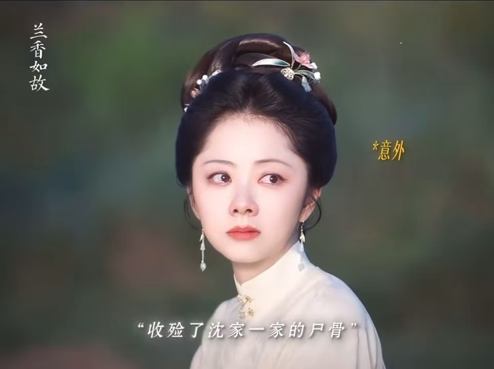 沈嘉兰林锦岐的愿望都没实现 沈嘉兰的牵挂，林锦岐的期盼，都没落地。但他们把遗憾变