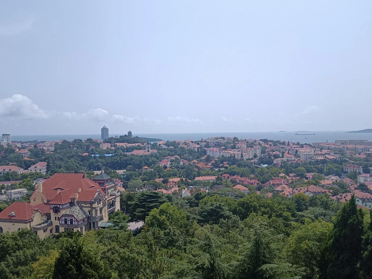 我去过不少城市，哪儿都没有西安北郊某些道路的狗屎多。我不怪狗，毕竟是个连屎都能吃