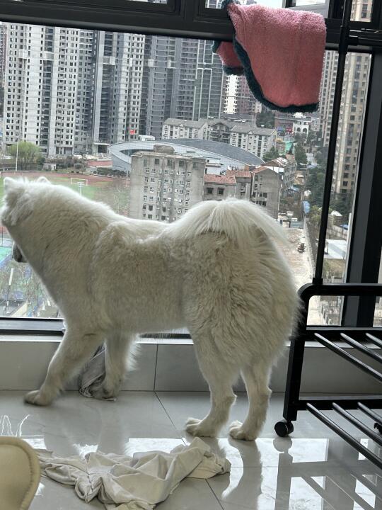 妈，外面的世界很精彩