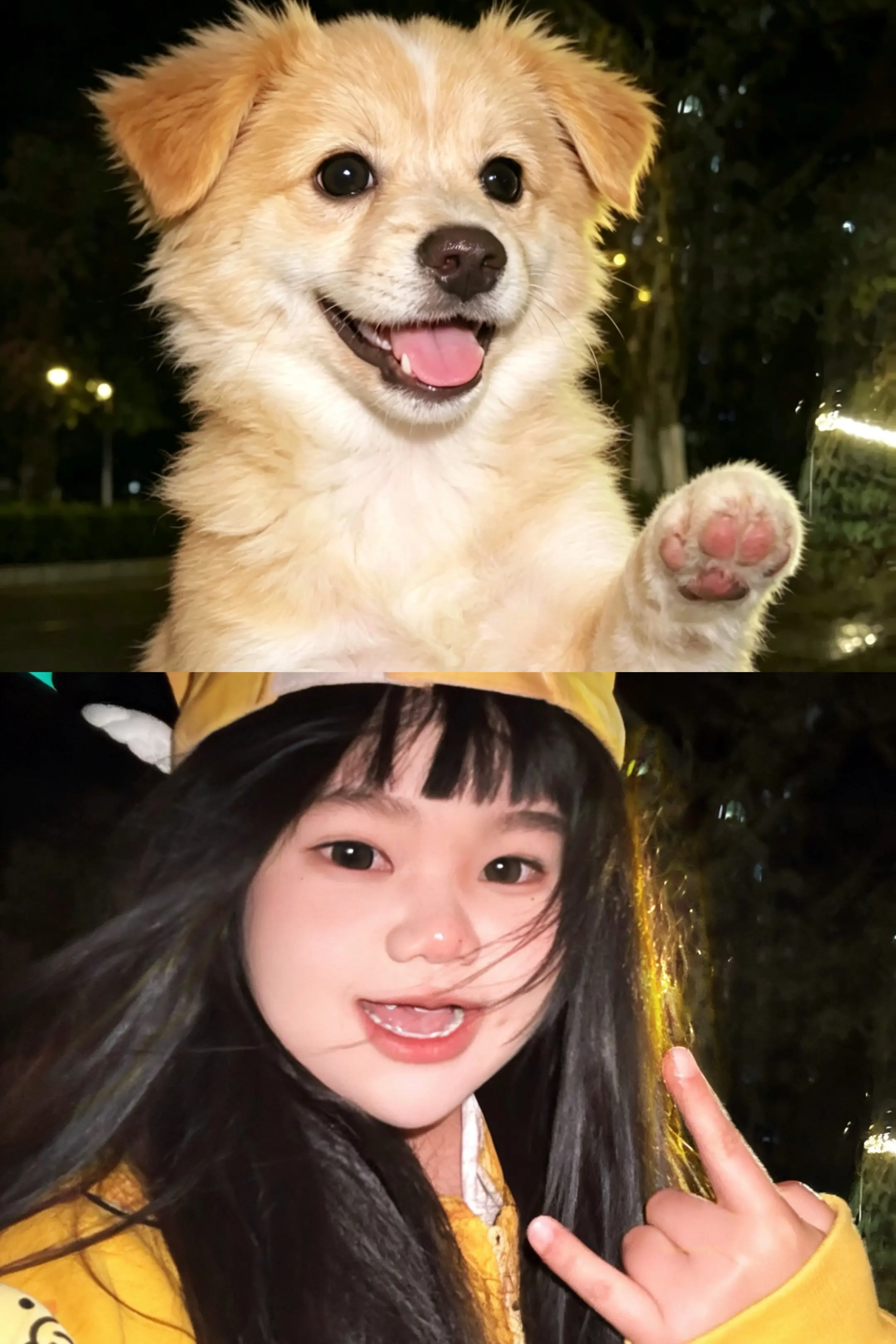 豆包动物塑 enfp快乐小狗