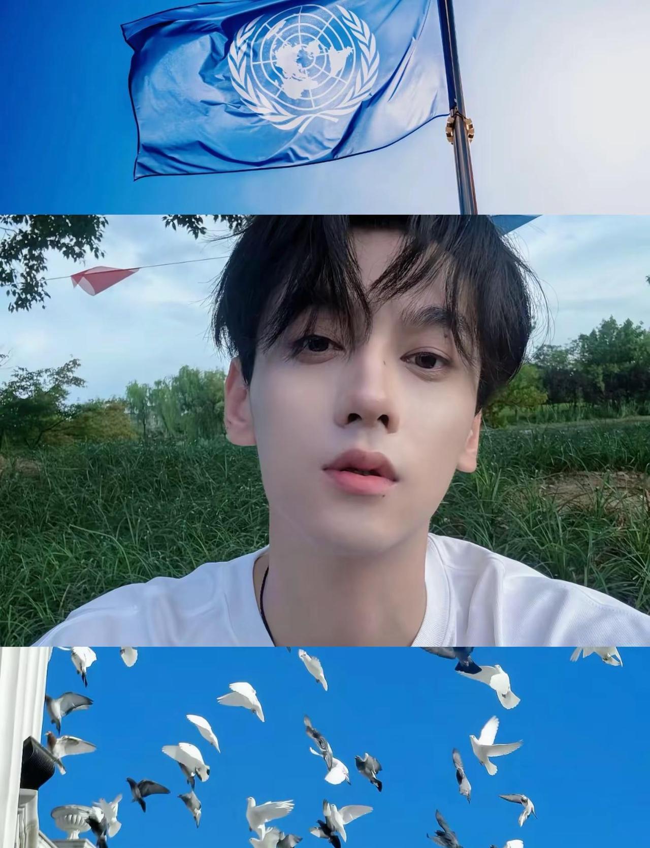 子弹要飞多久才能变成和平的白鸽田栩宁 世界和平