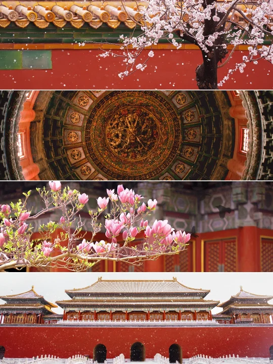 用我镜头里的中国红，祝故宫博物院百年华诞