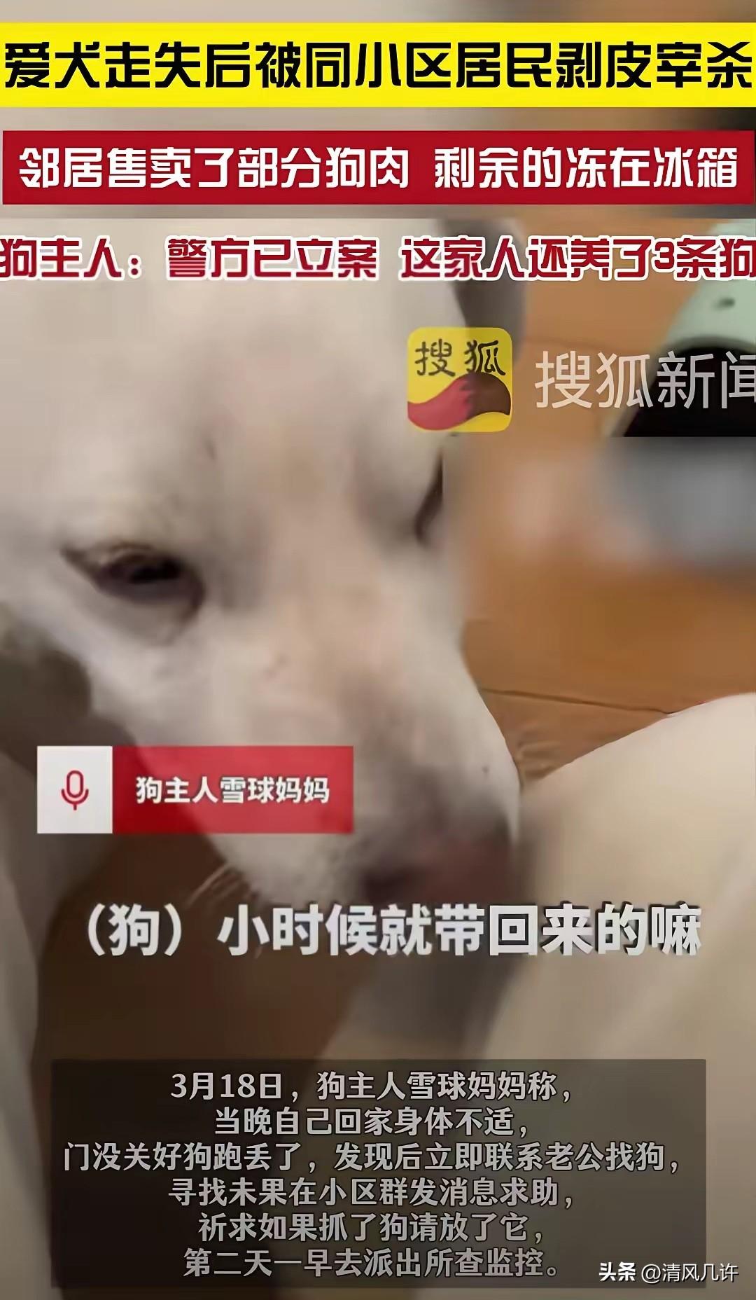 江苏昆山，女子没关好门，家里的狗跑了出去，结果被邻居老人剥了皮把肉卖了。女子和丈