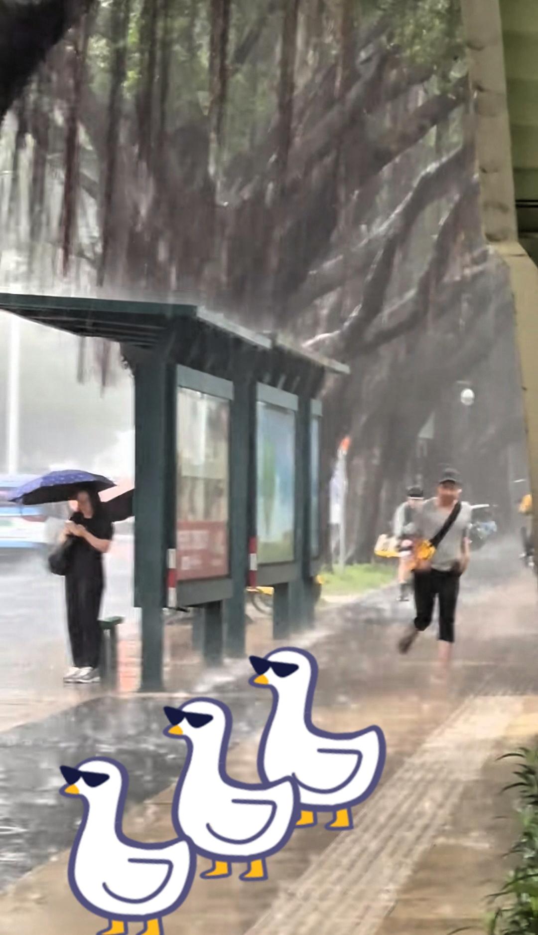 三十多岁的人了，
下雨了也不会慌得像热锅上的蚂蚁。  

 出门吃碗面，刚坐下不