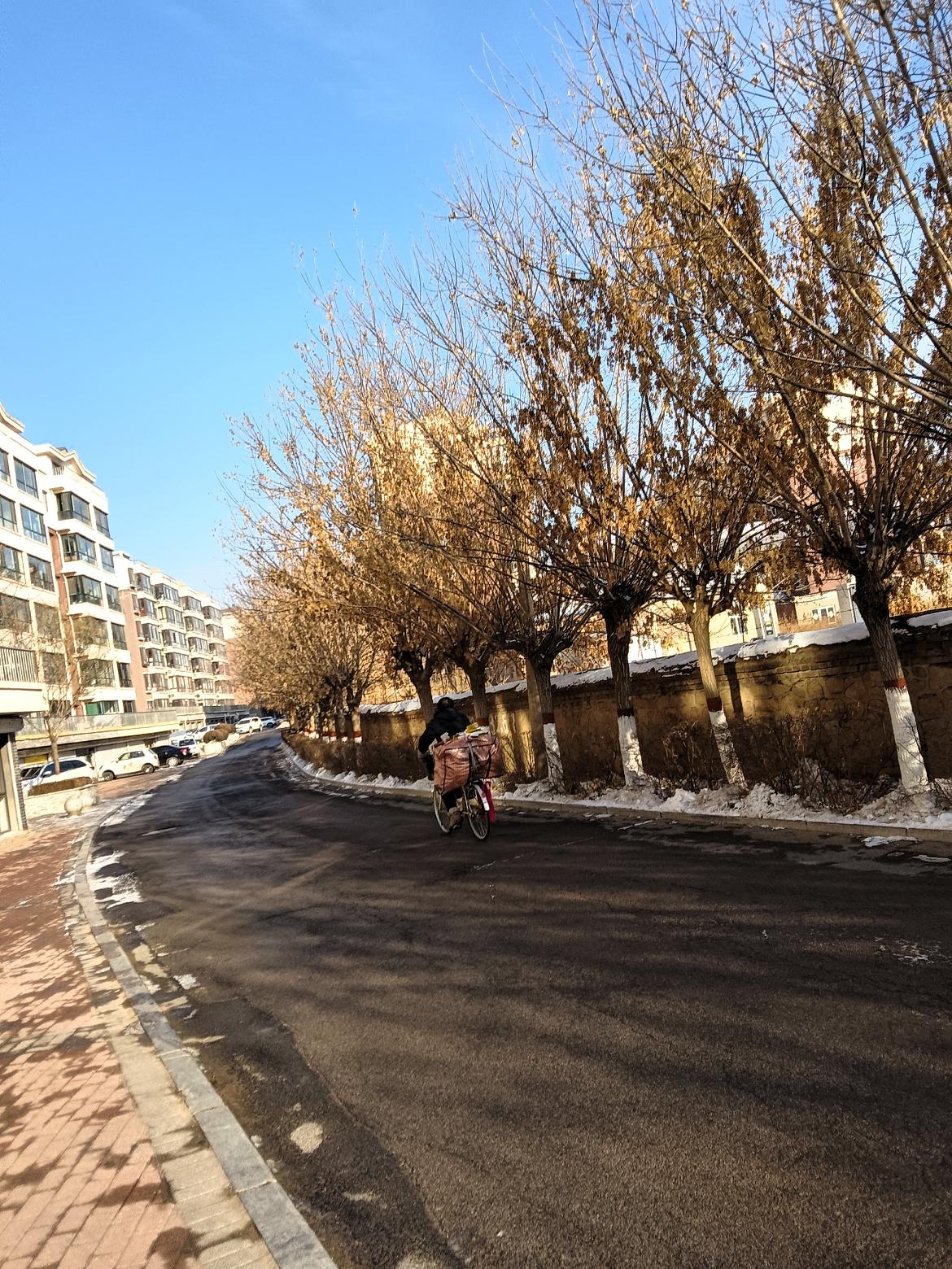 冬日暖阳下，骑车人穿行在落叶纷飞的街道上，感受岁月静好。