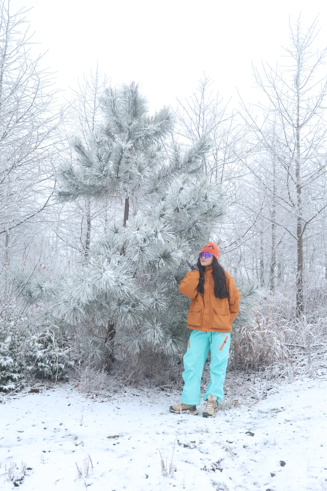 1.20 实况|商量岗的雾凇缤纷世界，可冲！