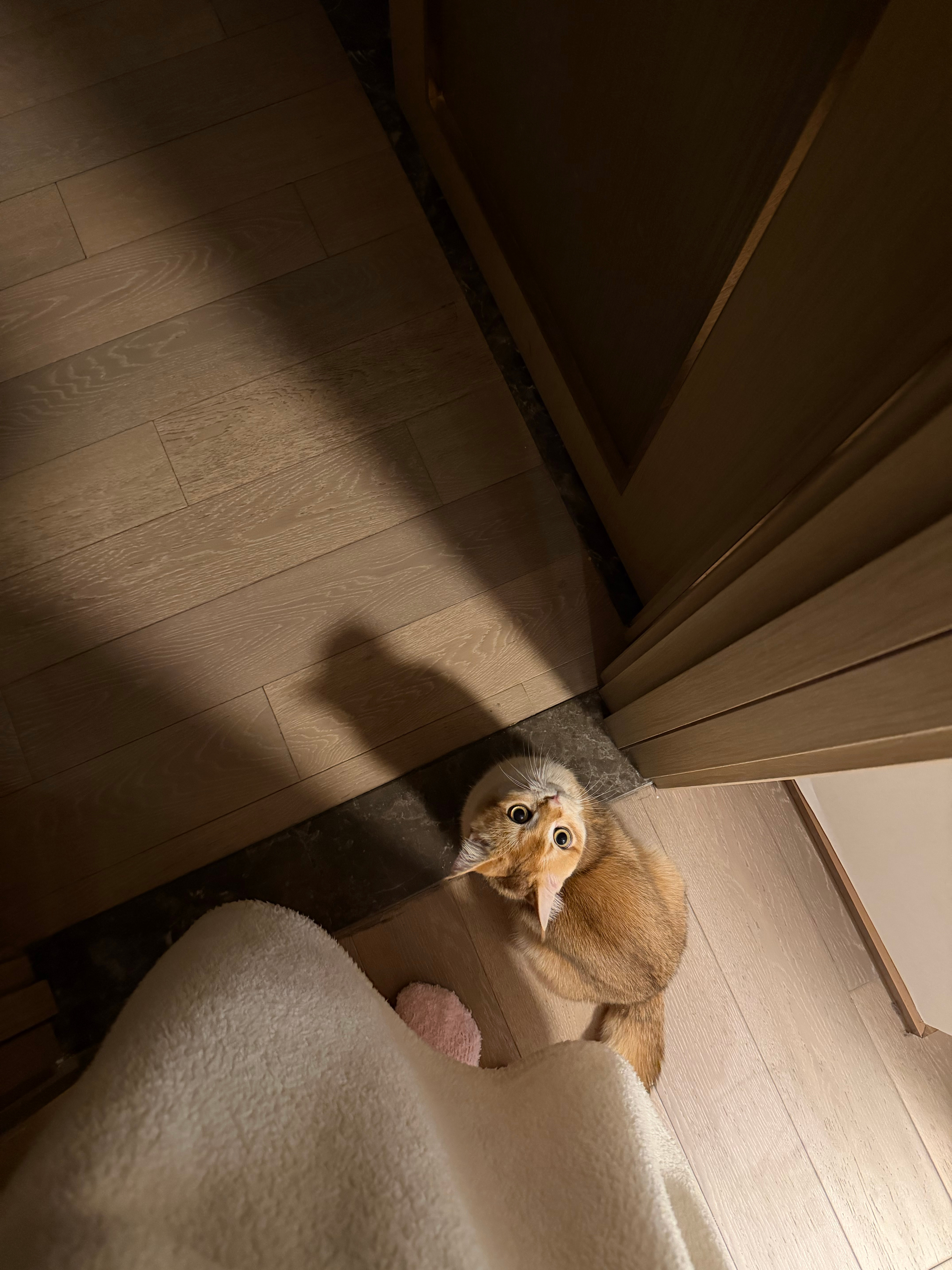 萌得我都想给这个混蛋宇宙了[可怜] ​​​