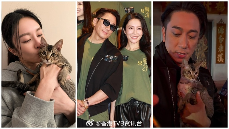 曝吴卓羲张曦雯恋情 omg 