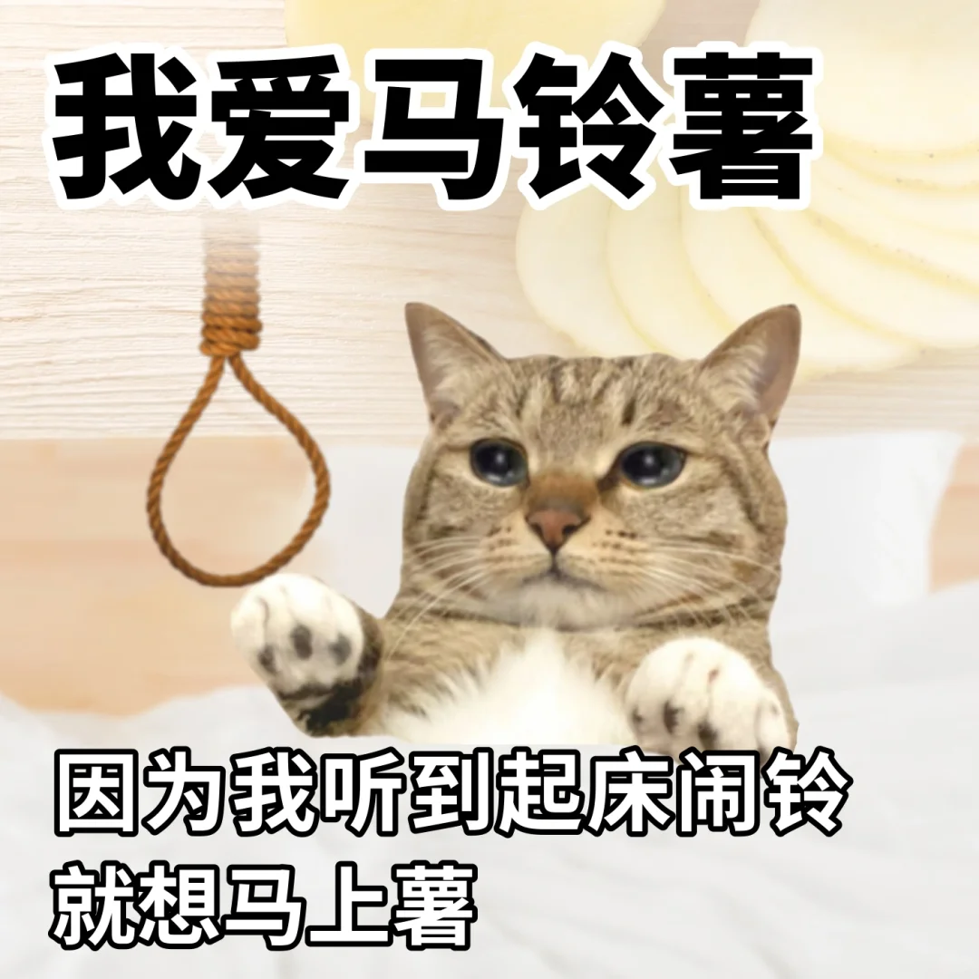 在吃苦和吃亏中选择了吃饭