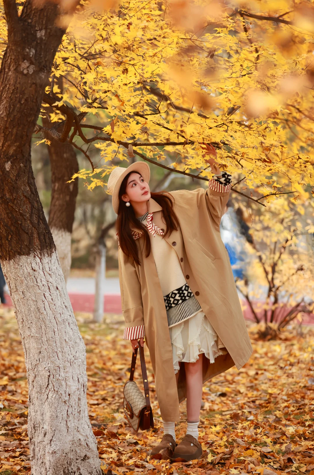 北京的秋天是油画！在奥森看枫叶！！🍁🖼️🍂