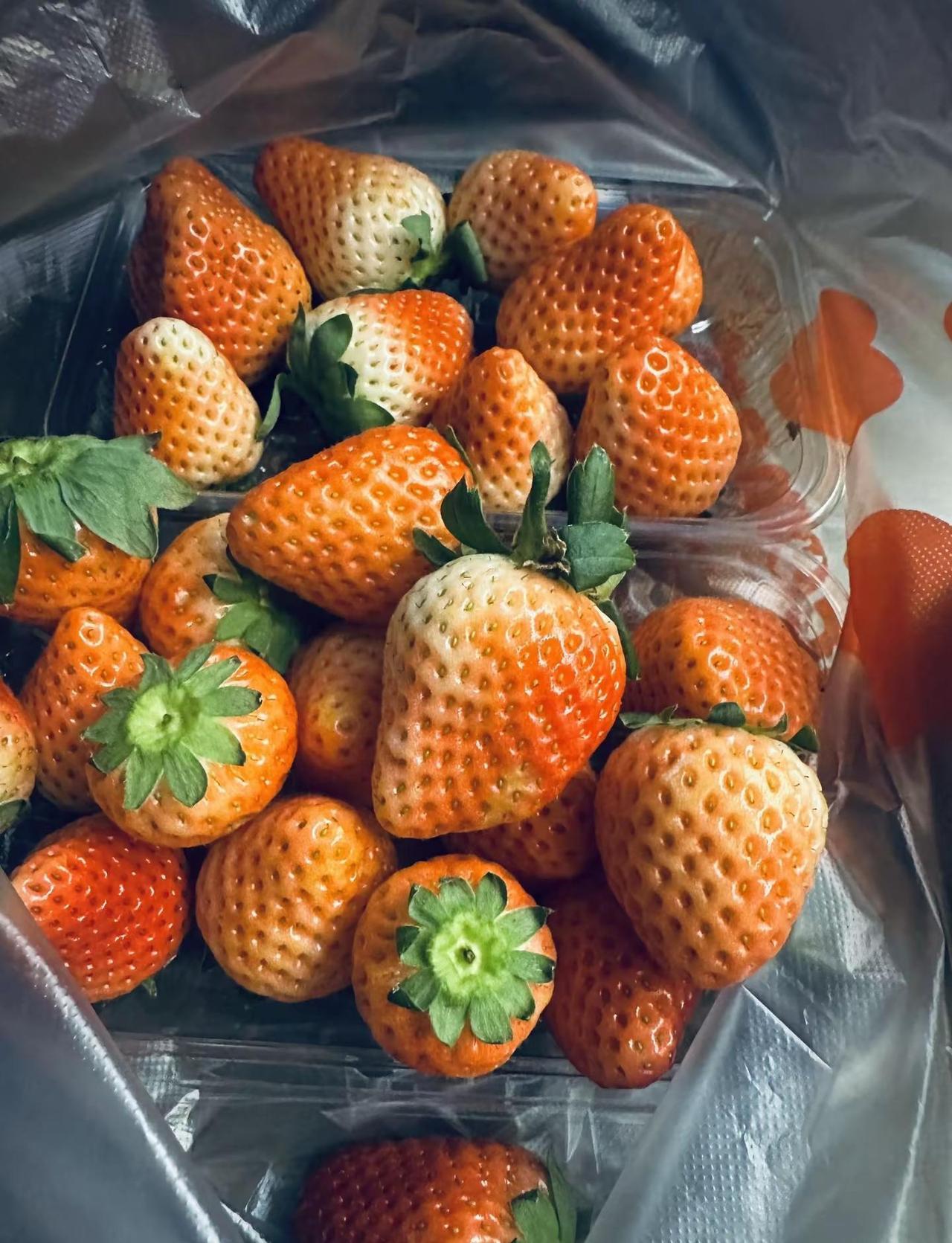 喜欢宁静的日子 一切归于平淡 才是最安稳