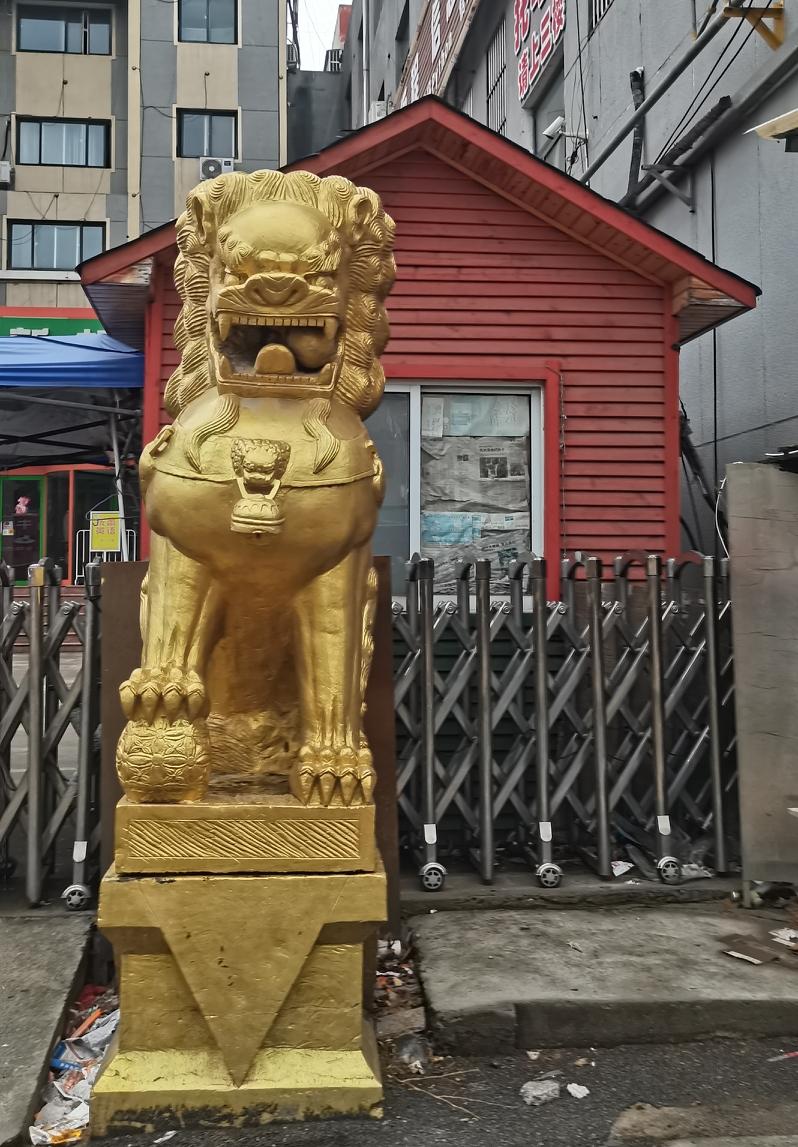 今早5点半，开始读书抄写了。只因老爸凌晨四点就起来，照顾完他的晨间日常，时间跑到
