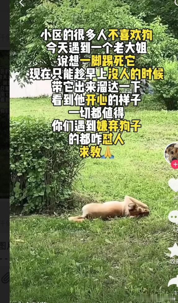 不栓绳，难怪老大姐想踢。 