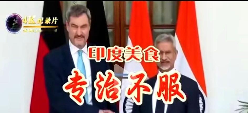 刷到这新闻我直接一口老痰喷屏幕上德国州长去印度，吃顿饭拉到脱虚，四天行程三天拉稀