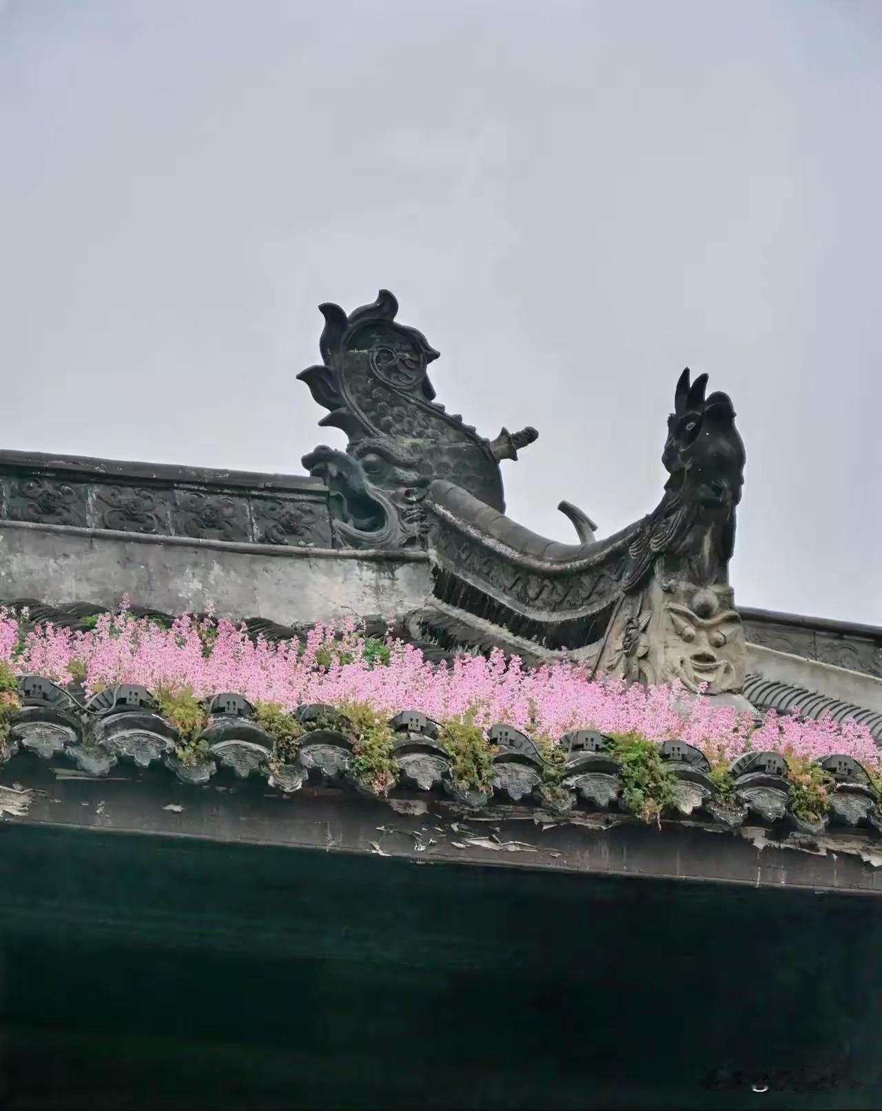 我姐姐小的时候，见过天上的仙人，她看见的不是一个，是一组。

虽说那时小，但也不