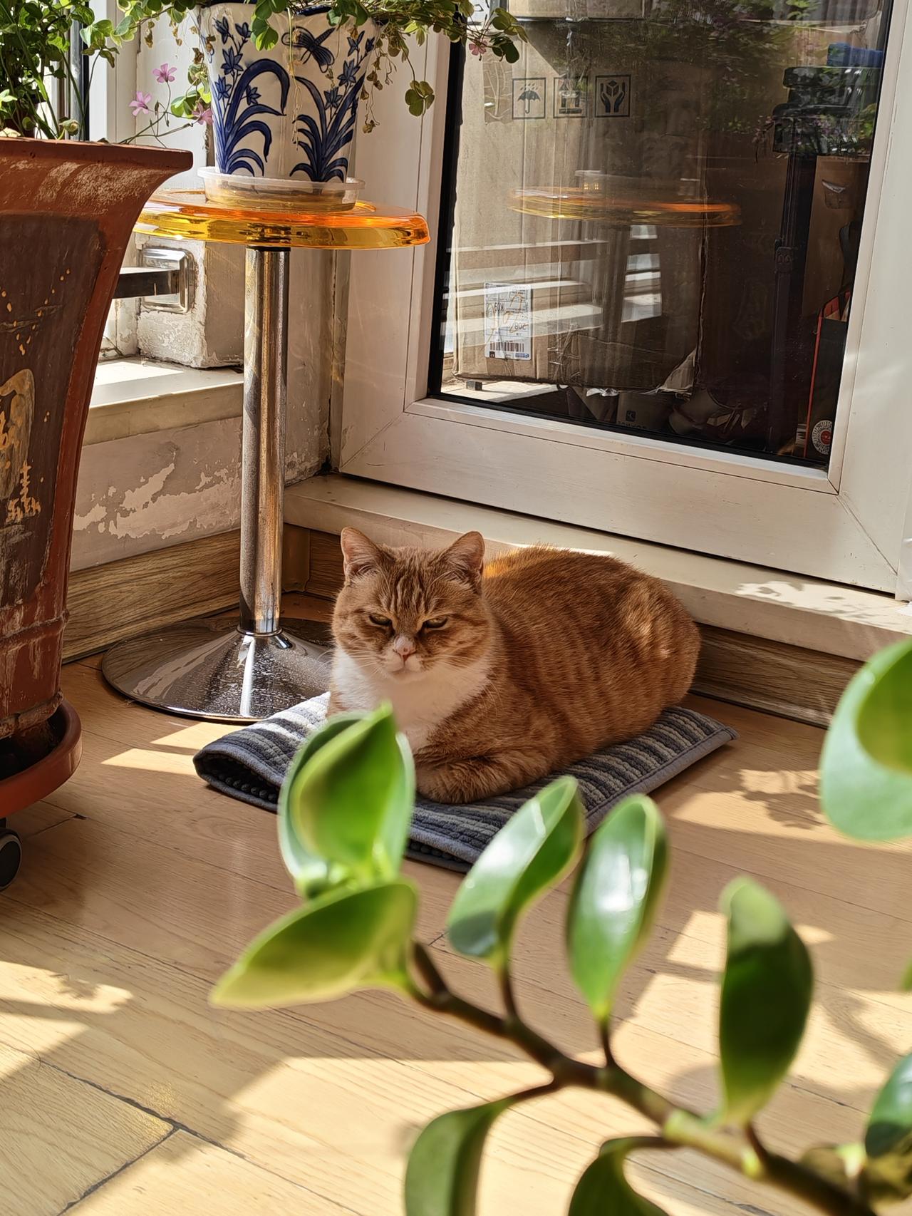 春日生活打卡季暖阳之下。