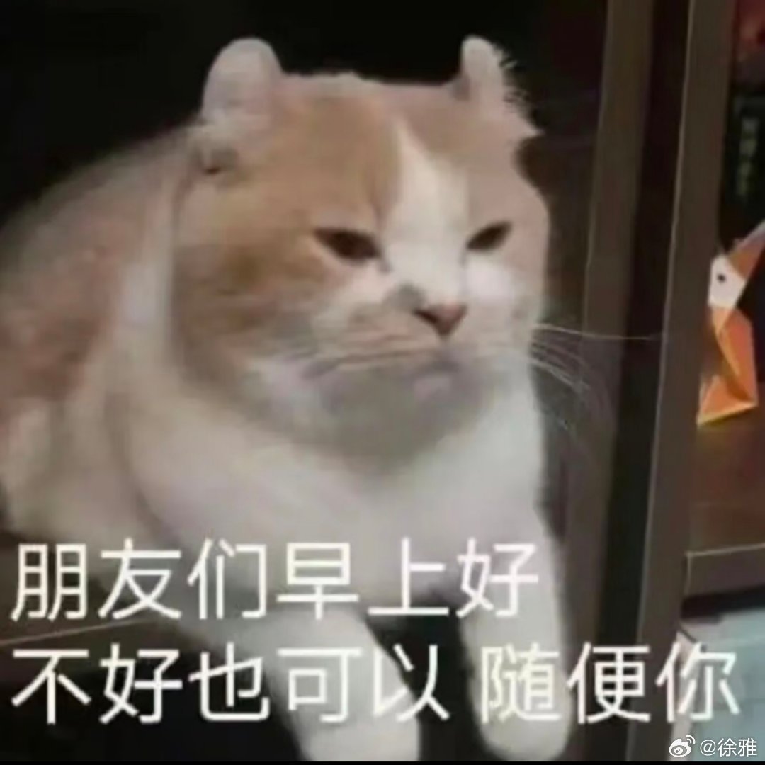 每日表情包分享。 