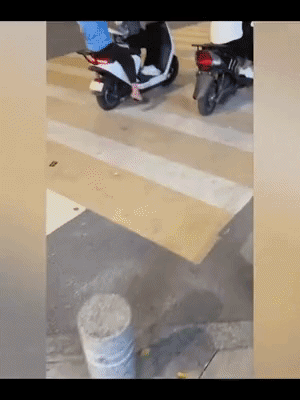 这家子主打一个情绪稳定
十分令人羡慕