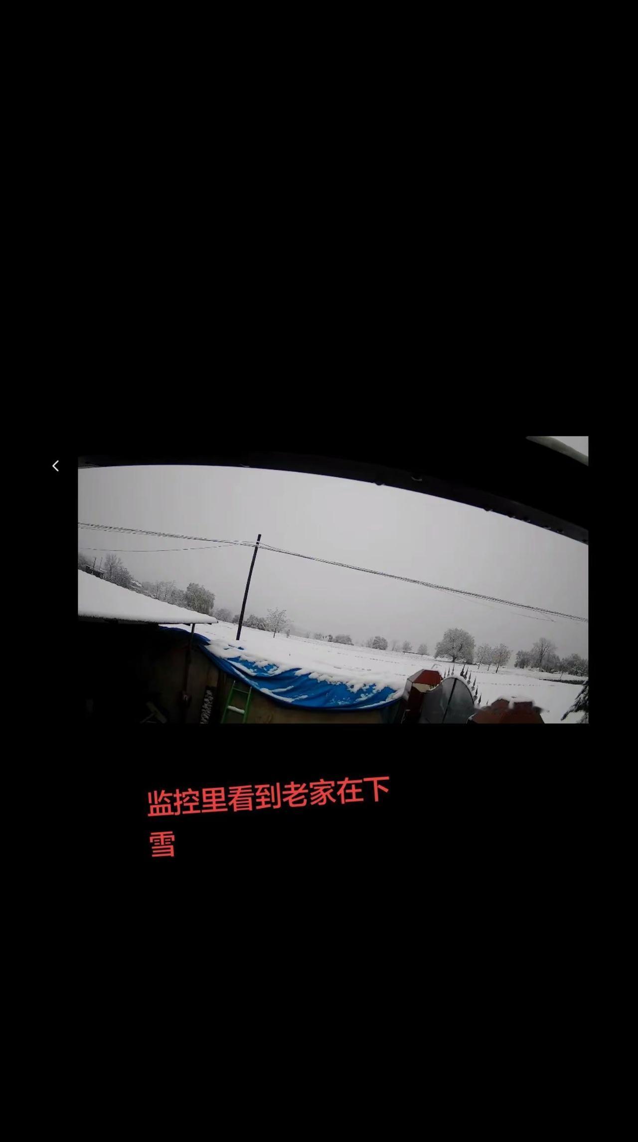 老家老家下雪🌨️啦雪 下雪 庆阳