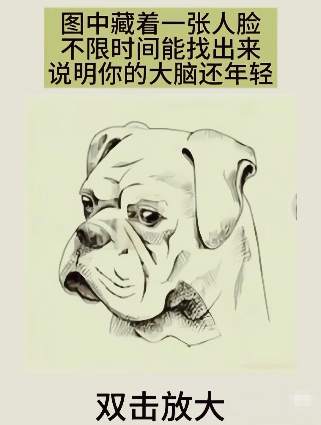 脸在哪？