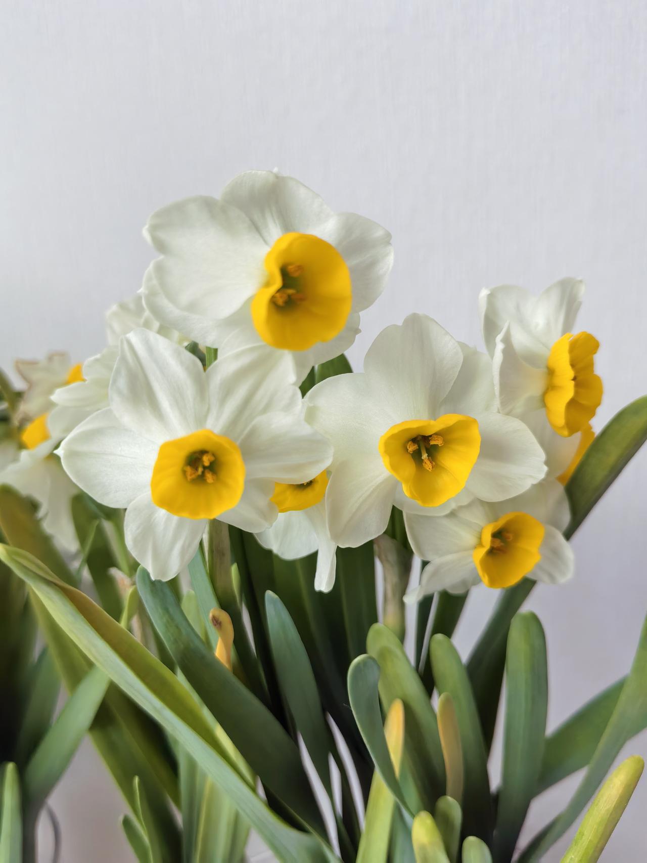 当初曾说独生子女是被宠坏的一代，我就是第一代独生女。

结果呢，我们这一代现在是