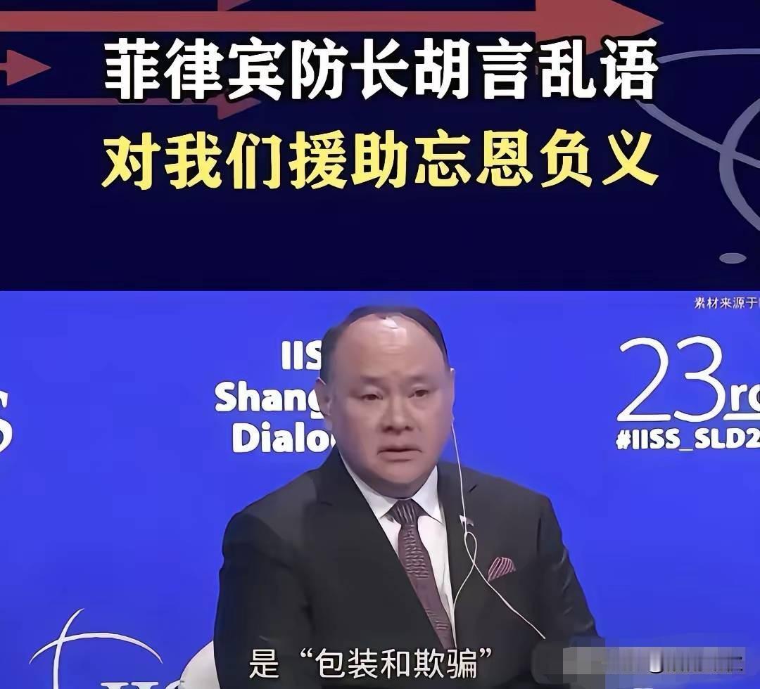 中方制裁菲律宾国防部长特奥多罗及其亲属，是‌对菲方长期挑衅、损害中国主权及公民权