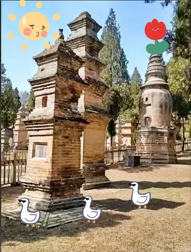 特地查了一下少林寺的文物
不查不知道，一查才明白
原来，历史文物还真的不少
大雄