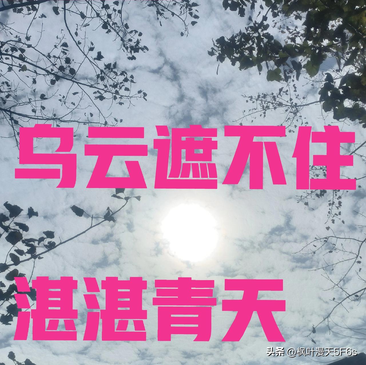 “保护伞”比恶霸更可恨？扫黑除恶，先打掉那把伞


说的总说“扫黑除恶”，可你有