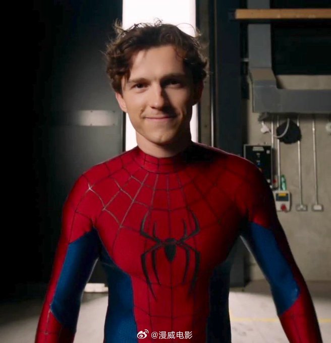 荷兰弟在拍摄《蜘蛛侠：崭新日》期间去学习了柔术。