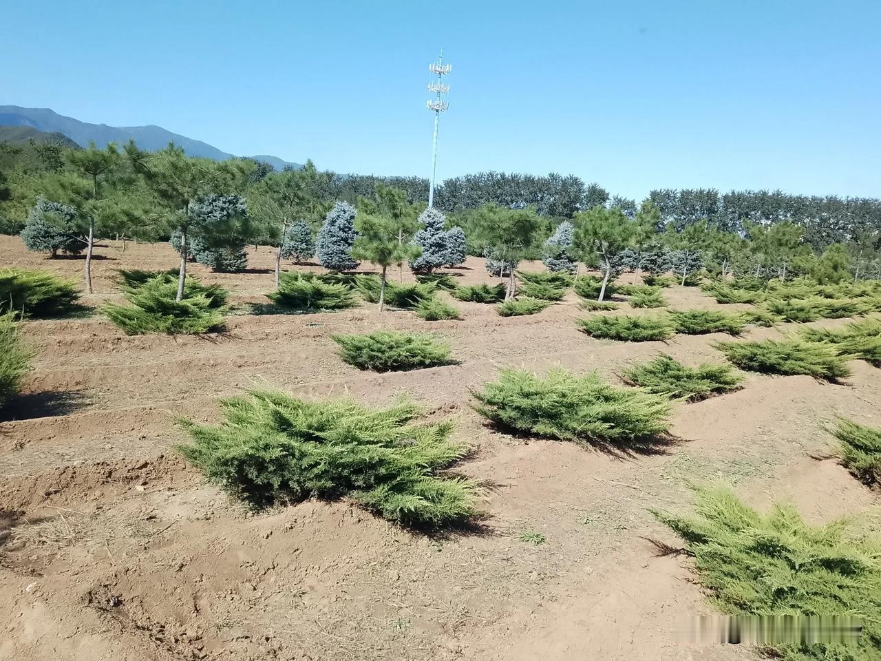 #晒晒你相册里最新的一张风景照#