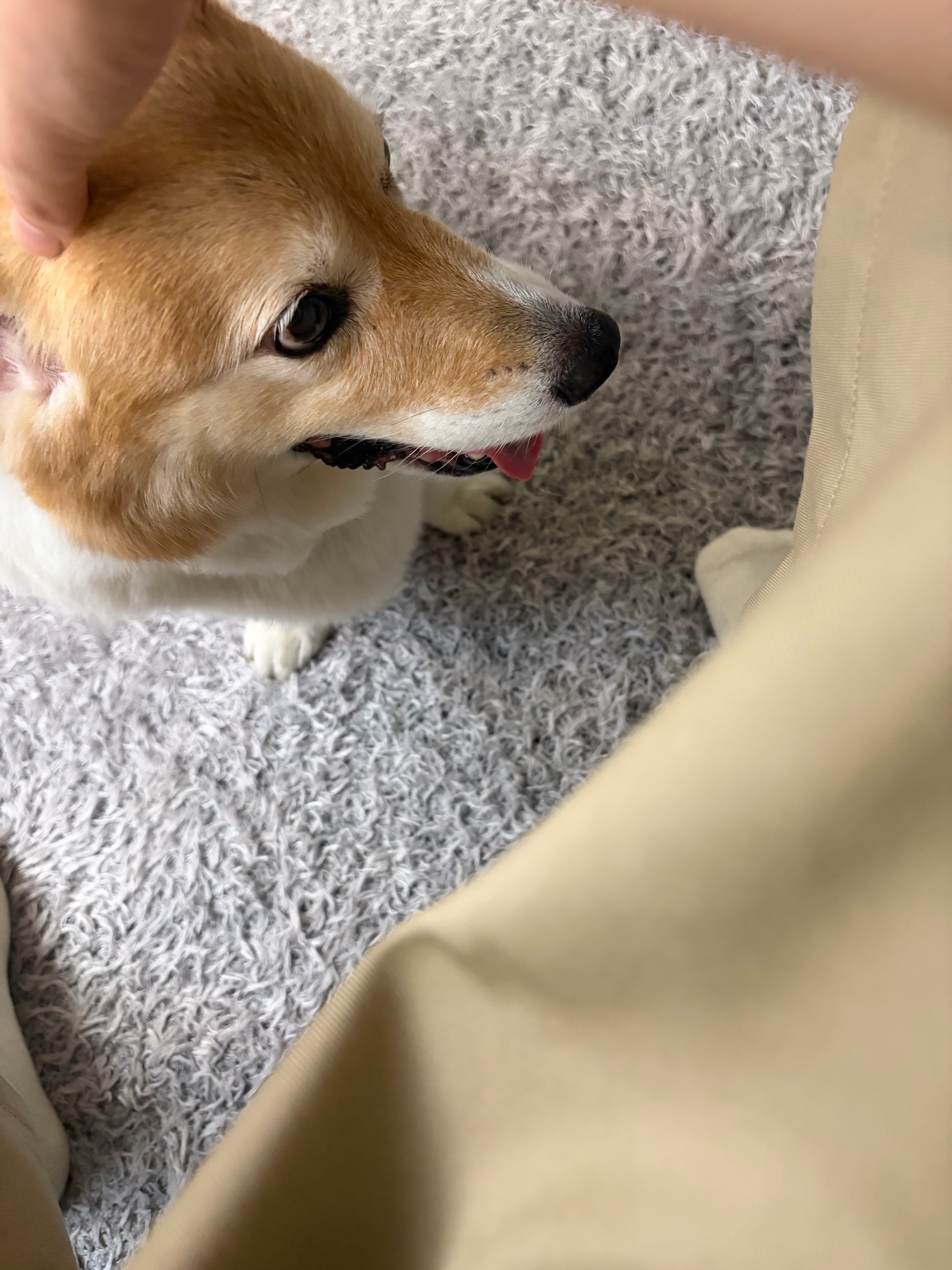 🐾🐾 