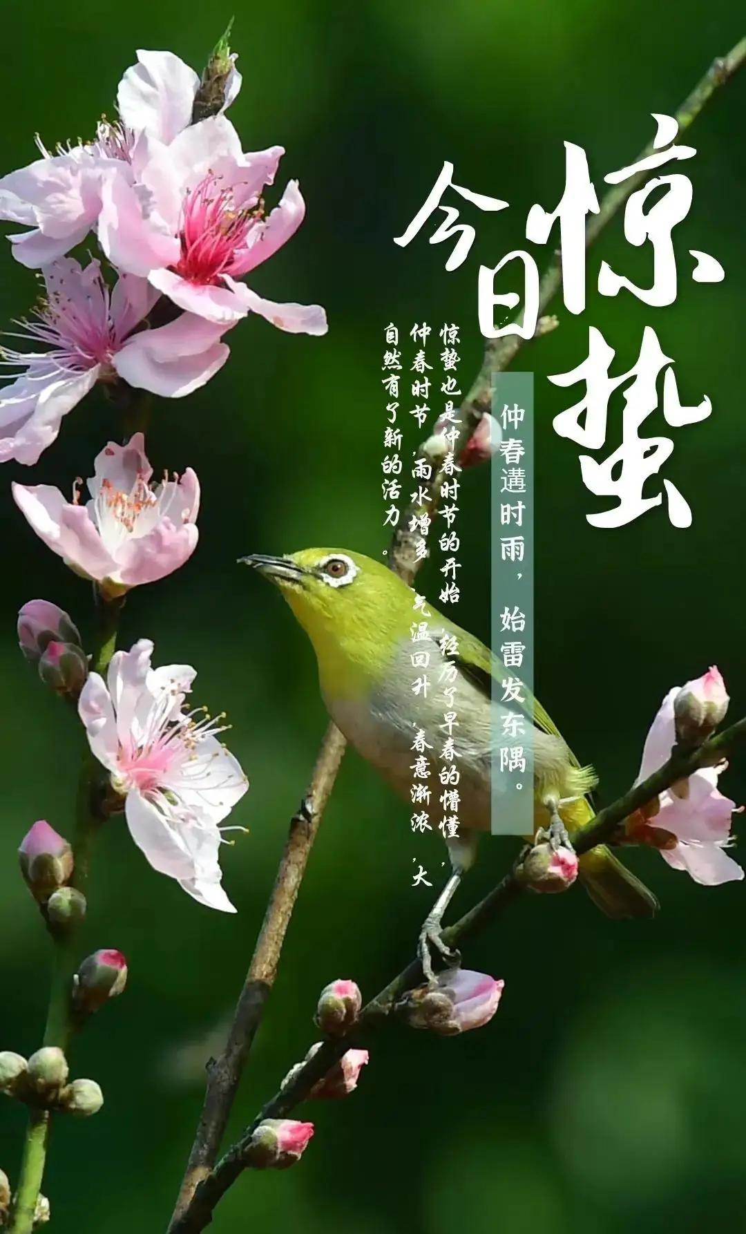 惊蛰听雷，唤醒身心：赴一场春日的健康之约

今儿咱们不聊那江湖上的快意恩仇，也不