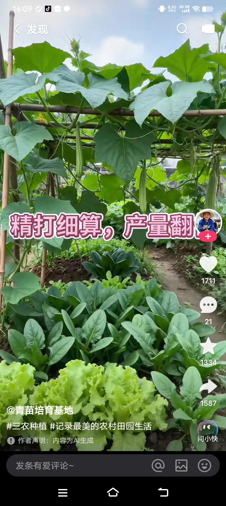 绿油油的蔬菜长得真旺盛。