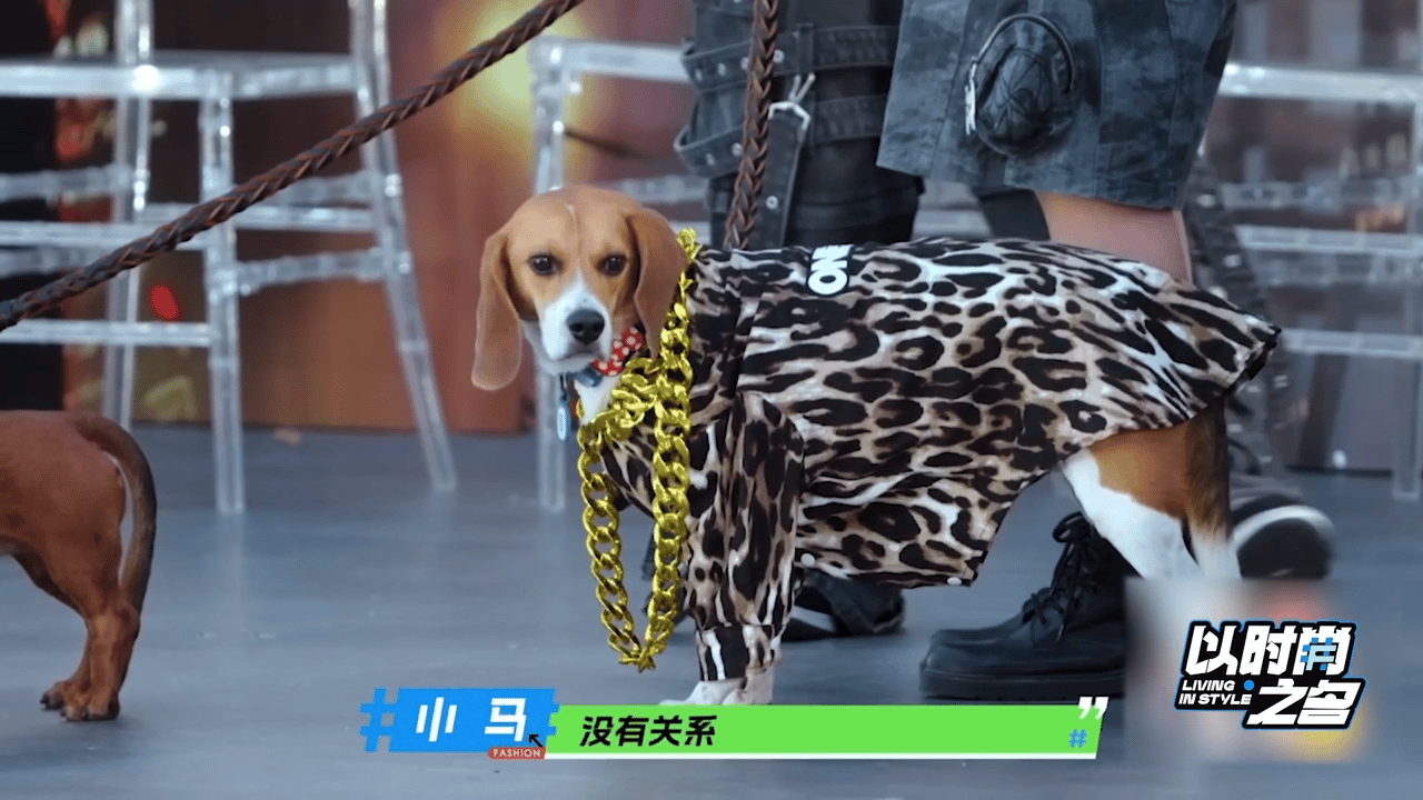 #你的一次组队是它们的一生# 实名推荐各位朋友们去看一看《以时尚之名》，对于喜欢