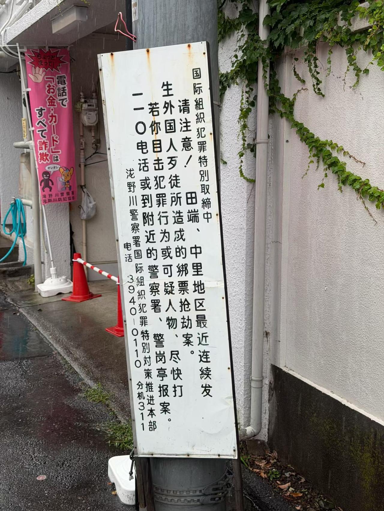 我的今日随笔中国富豪到哪里都是猎物