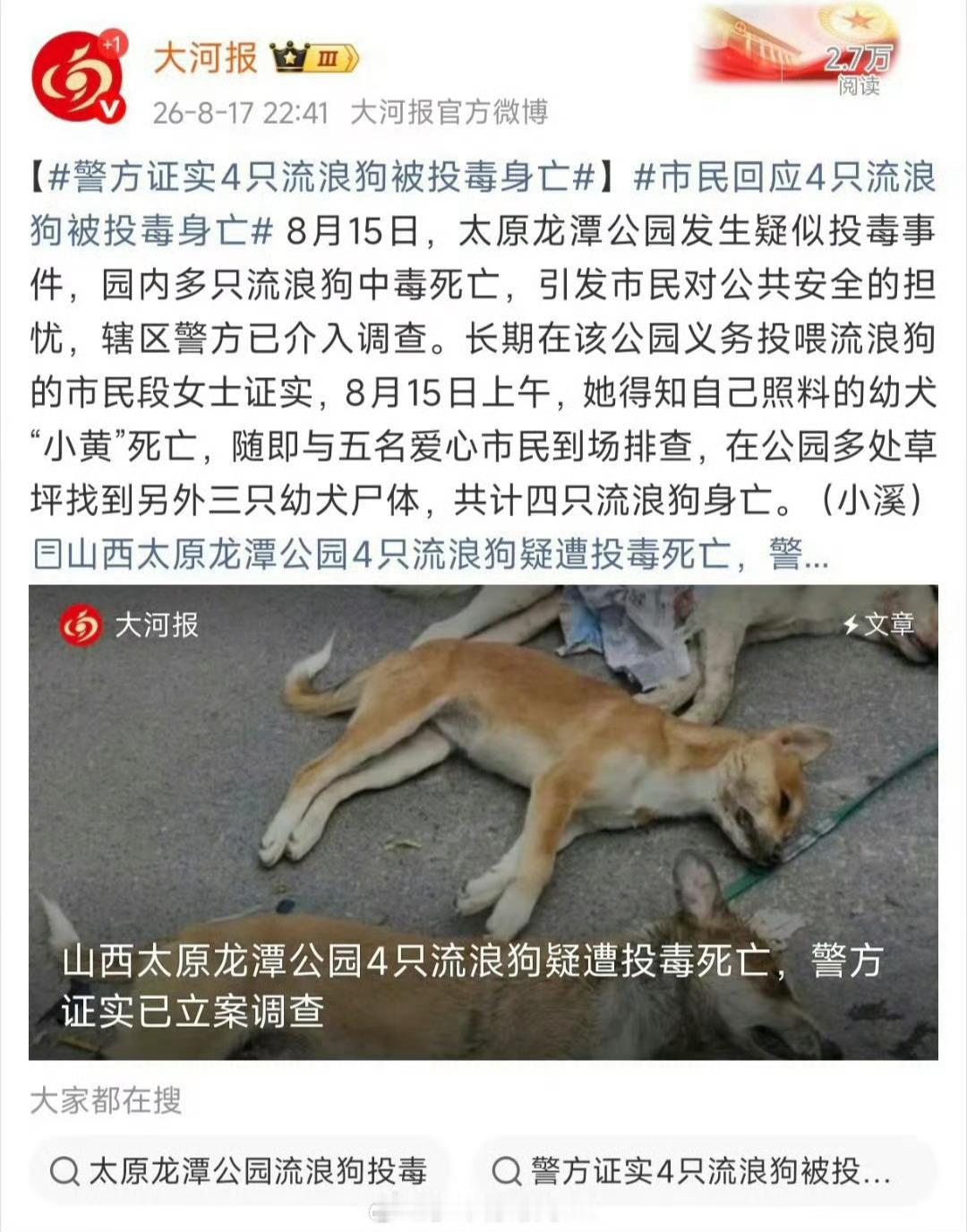 【太原市民回应4只流浪狗被投毒身亡】如果是异烟肼，那就谈不上投毒，因为“对人安全